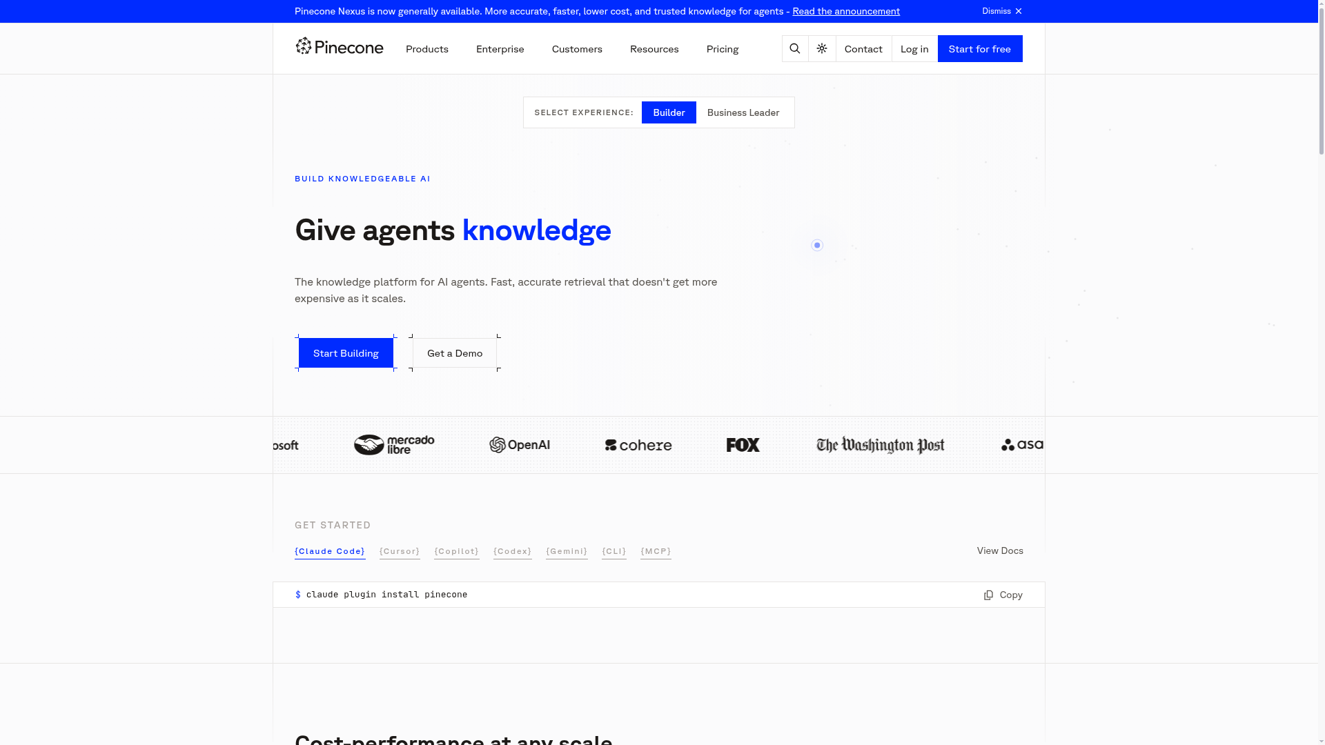 Screenshot of the Pinecone page analyzed in this UX review